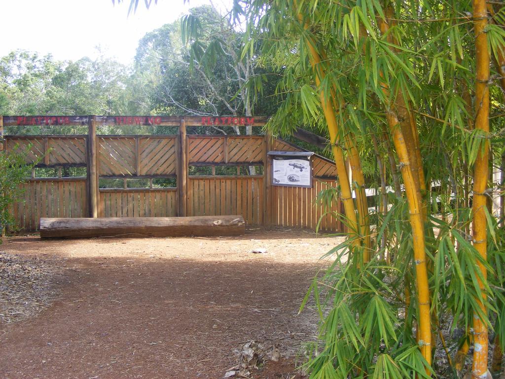 Lake Eacham Tourist Park & Cabins Luaran gambar