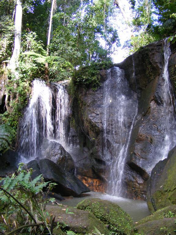 Lake Eacham Tourist Park & Cabins Luaran gambar