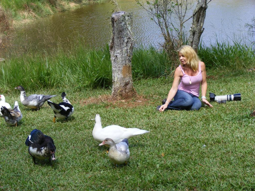 Lake Eacham Tourist Park & Cabins Luaran gambar