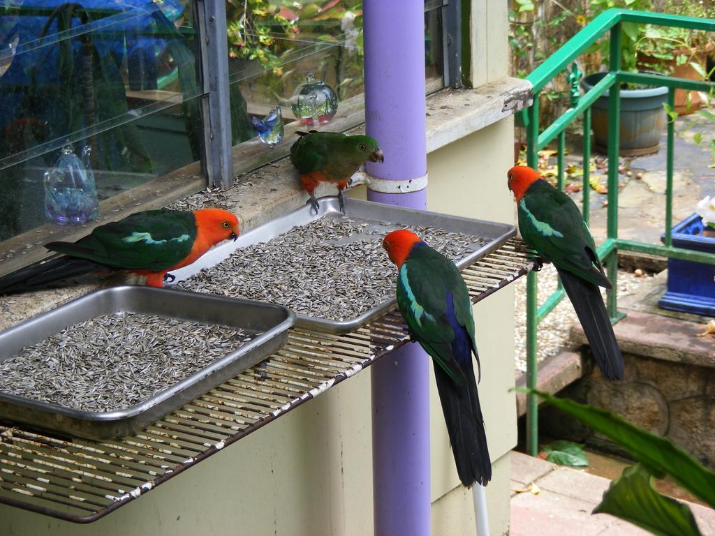 Lake Eacham Tourist Park & Cabins Luaran gambar