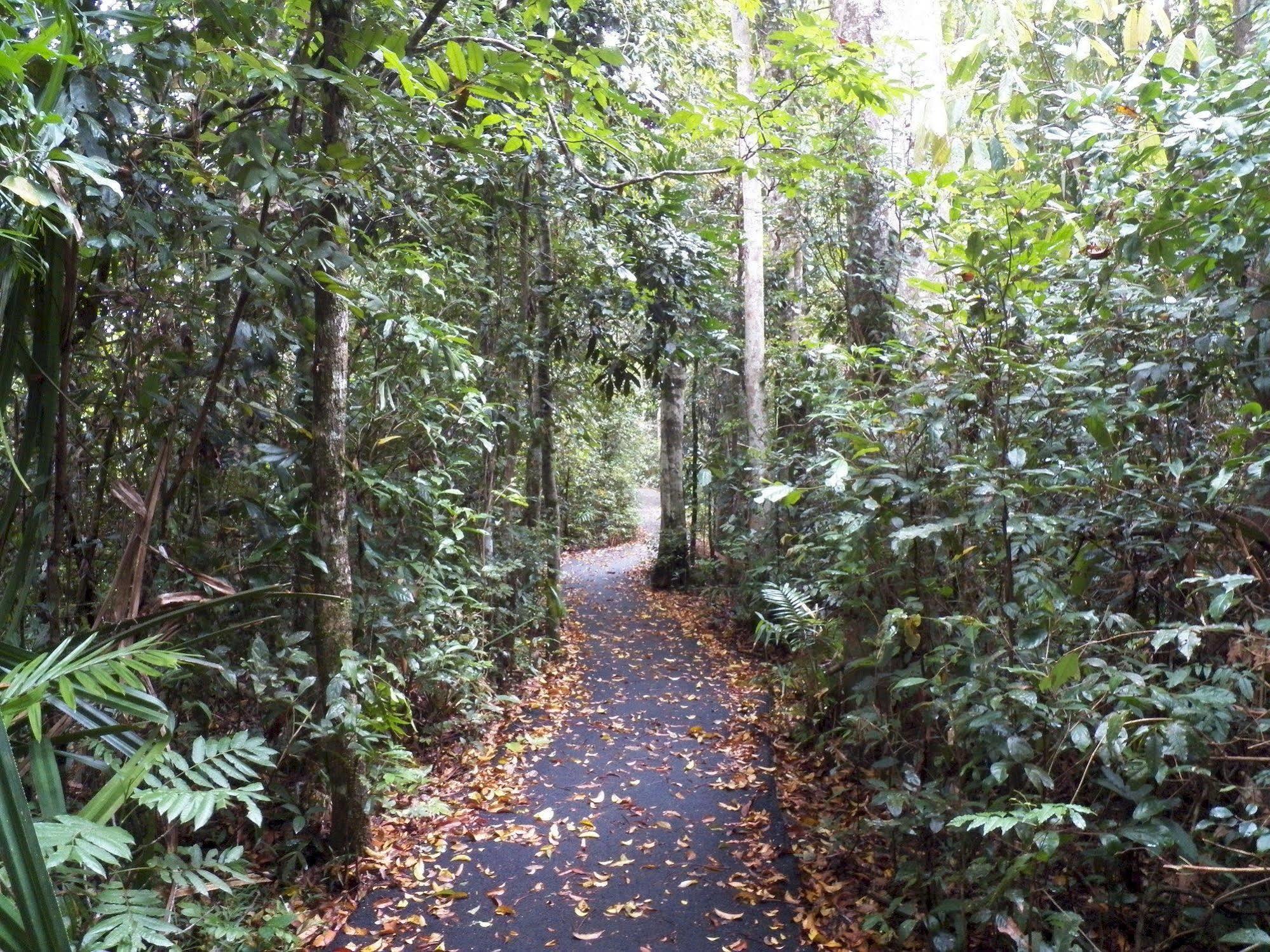 Lake Eacham Tourist Park & Cabins Luaran gambar