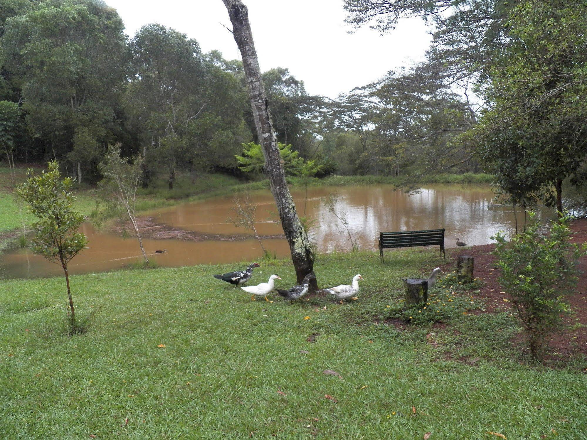Lake Eacham Tourist Park & Cabins Luaran gambar